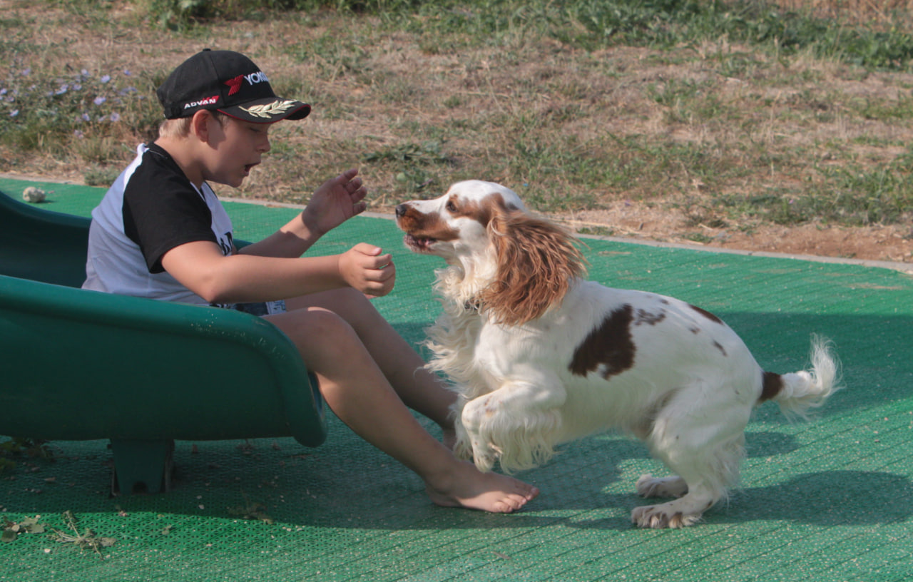 Тимка и Костя